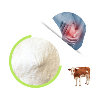 Popular Pig  Cartilage  Type II Collagen Powder With Protein Powder Bulk, Gym Protein Powder